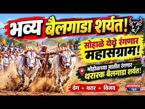 भव्य बैलगाडा शर्यत; सोहाळे येथे रंगणार बैलगाडा शर्यतीचा महासंग्राम!