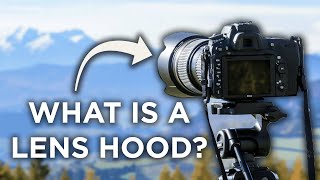 Why You Should Use a Lens Hood