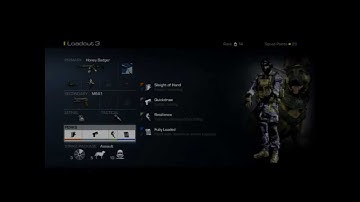 Cod Ghost Honey Badger Best CLASS Setup!