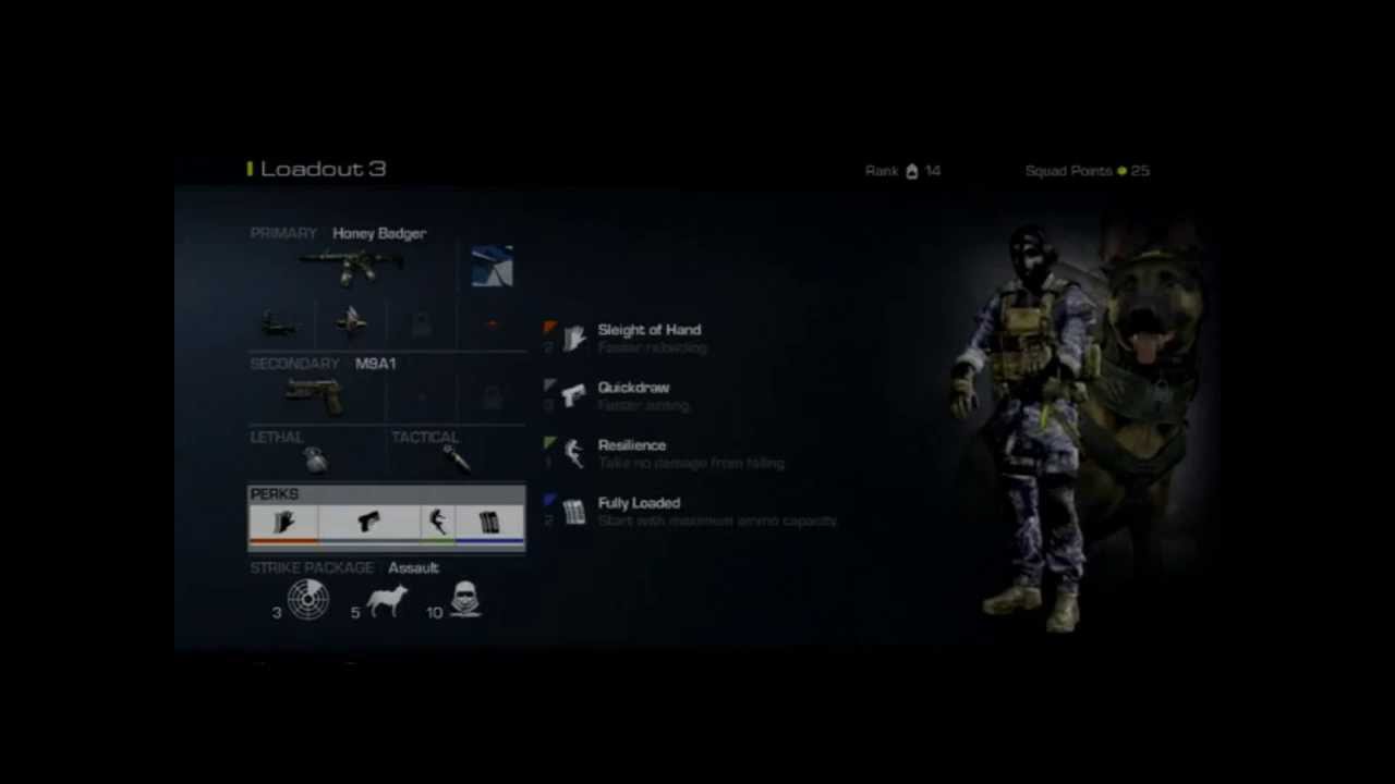 Cod Ghost Honey Badger Best CLASS Setup!