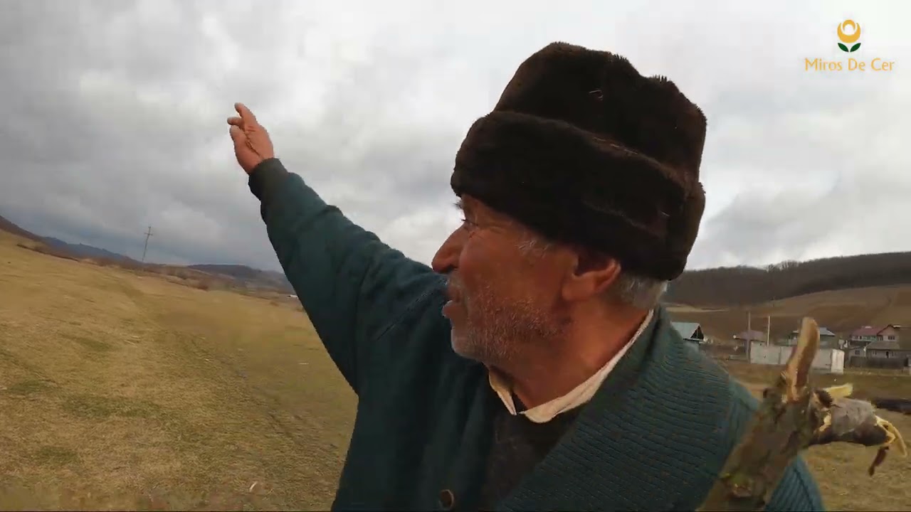 Frigul il obligă să aducă lemne de la 1 km depărtare cu spatele la 84 de ani | Miros De Cer