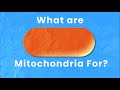 Way more than a powerhouse the incredible roles mitochondria play