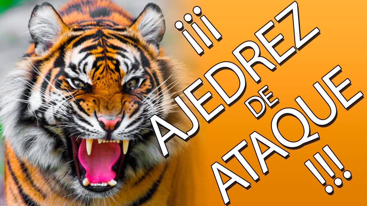 ¡Ataca agresivamente como lo hacen los Grandes Maestros!  (IMPERIO AJEDREZ)