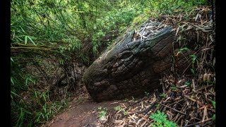 🐍 Naka Cave Thailand \u0026 The Legend of Naga: The Serpent Guardian of the Mekong
