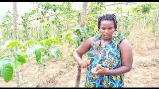 ubuhinzi bwamatunda bumuhaye gutura m'umutamenwa ku nshuro yambere