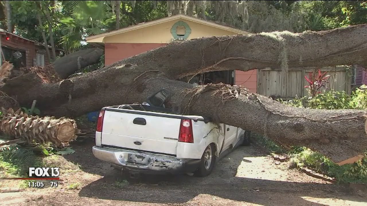 newspaper mockup Massive tree damages Seminole Heights homes