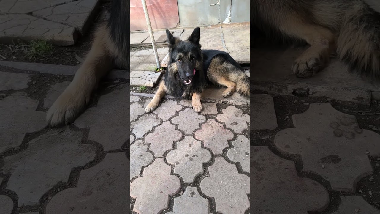 для помощи+79045334267 втб или т банк Руслан ш