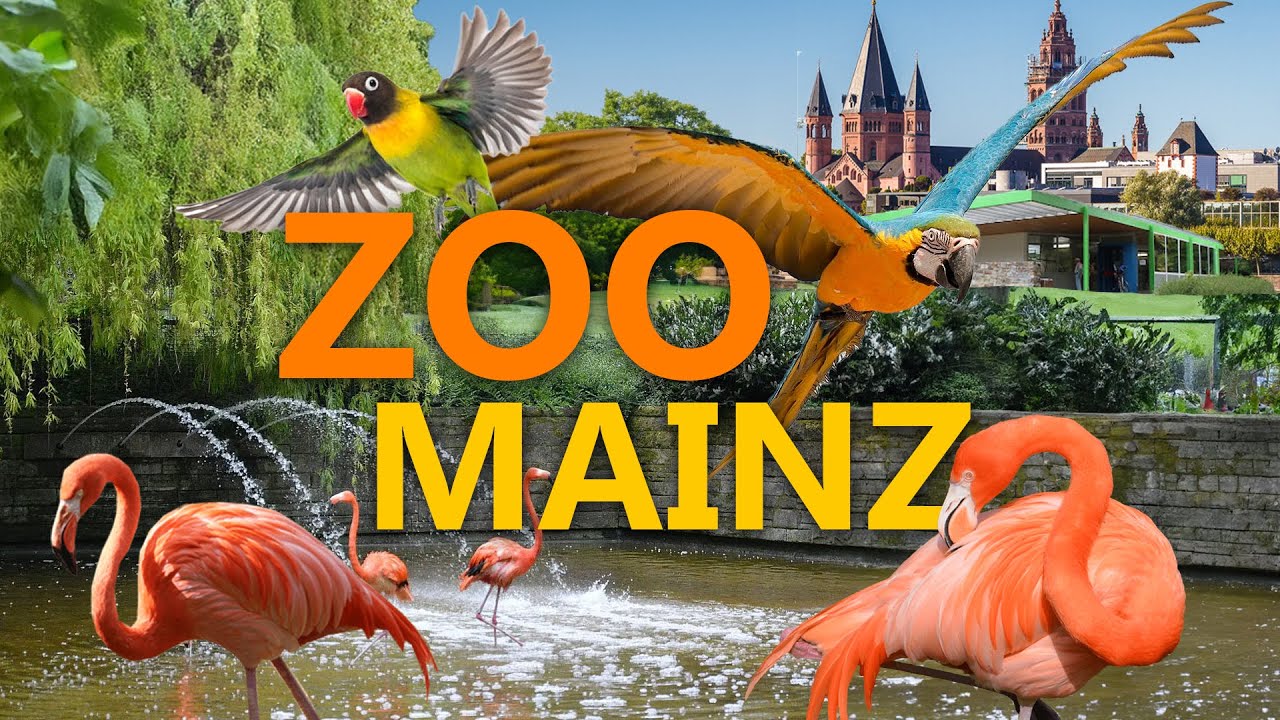 Waldzoo Offenbach - Klein aber fein? | Zoo-Eindruck