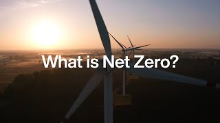 What is Net Zero? | Uswitch explains