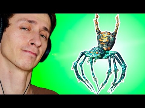 Видео: Секреты Skyrim #44. Ручные пауки.