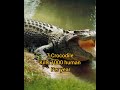 😲😯Top 10 most danger animals in world||TOP 10 INTERESTING FACTS