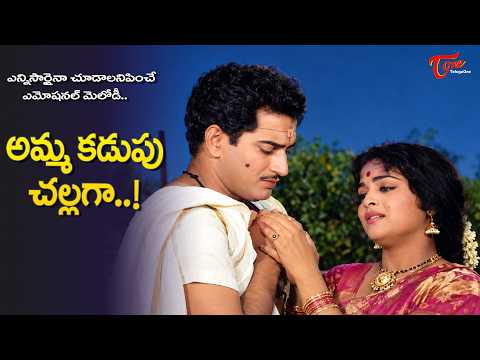 Amma kadupu Challaga Song | Krishna, Vijaya Nirmala Wedding Melody | Sakshi Movie | Old Telugu Songs