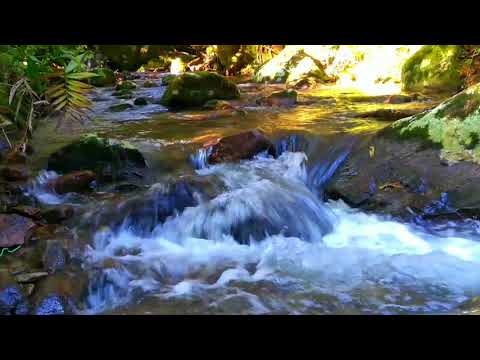 Barulho de água escorrendo para relaxar e dormir profundamente | ASMR para RELAXAR  e ACALMAR