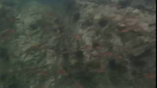 2016 0717 091944