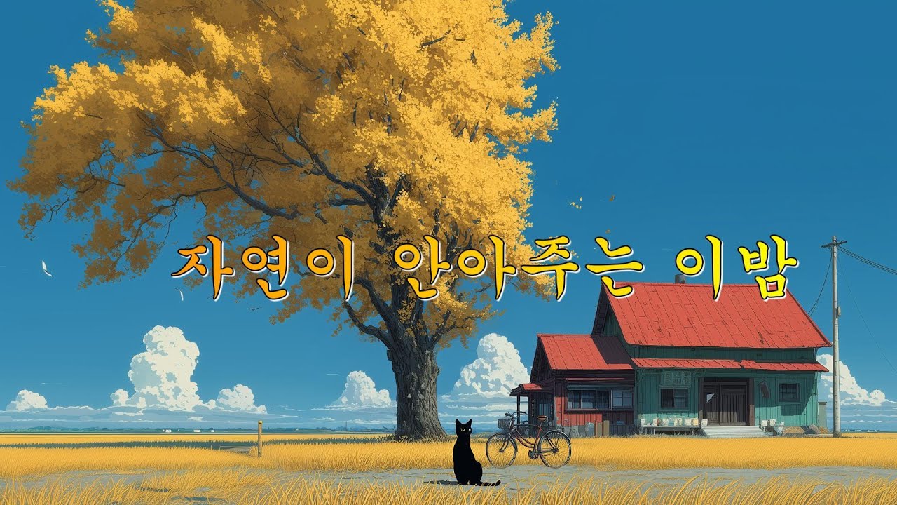 밤을 품은 치유의 멜로디/Healing Melodies Embracing the Night