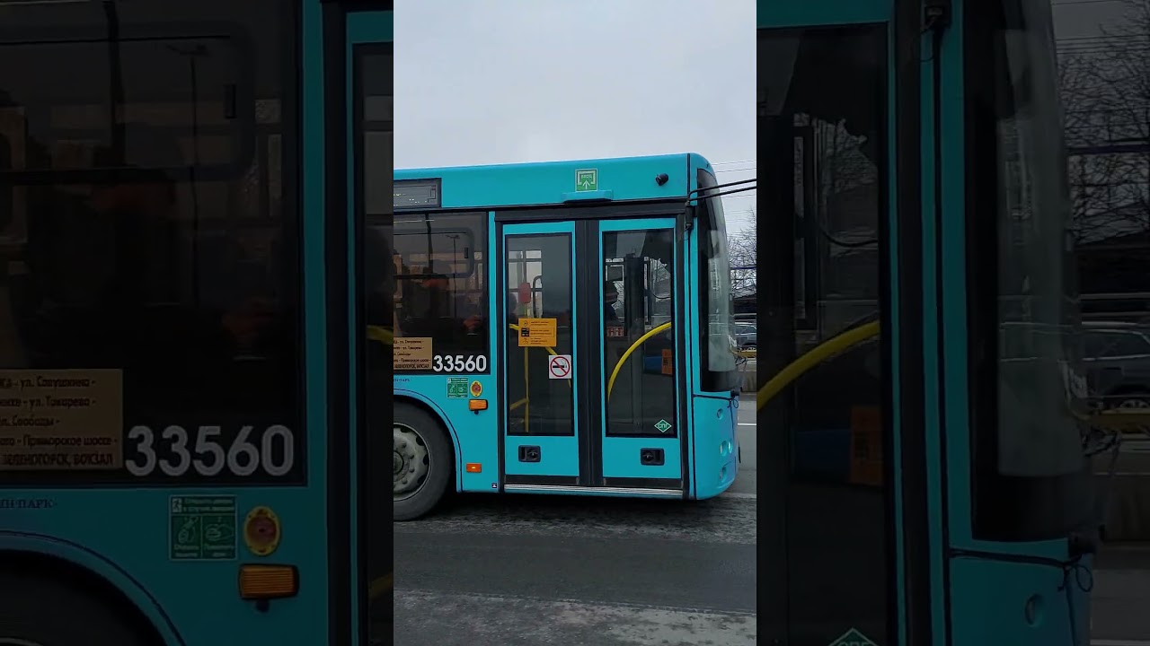 Автобус маз 203 маршрут 211Э 