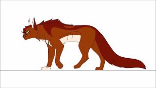 Squirrelflight walk cycle practice