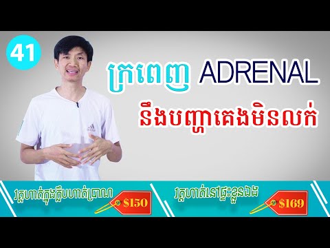 [41] ក្រពេញAdrenalនឹងបញ្ហាគេងមិនលក់