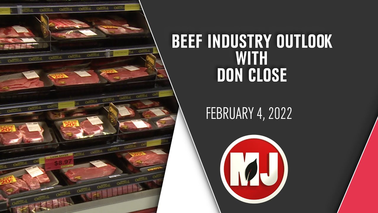 Beef Industry Outlook Don Close February 4, 2022 YouTube
