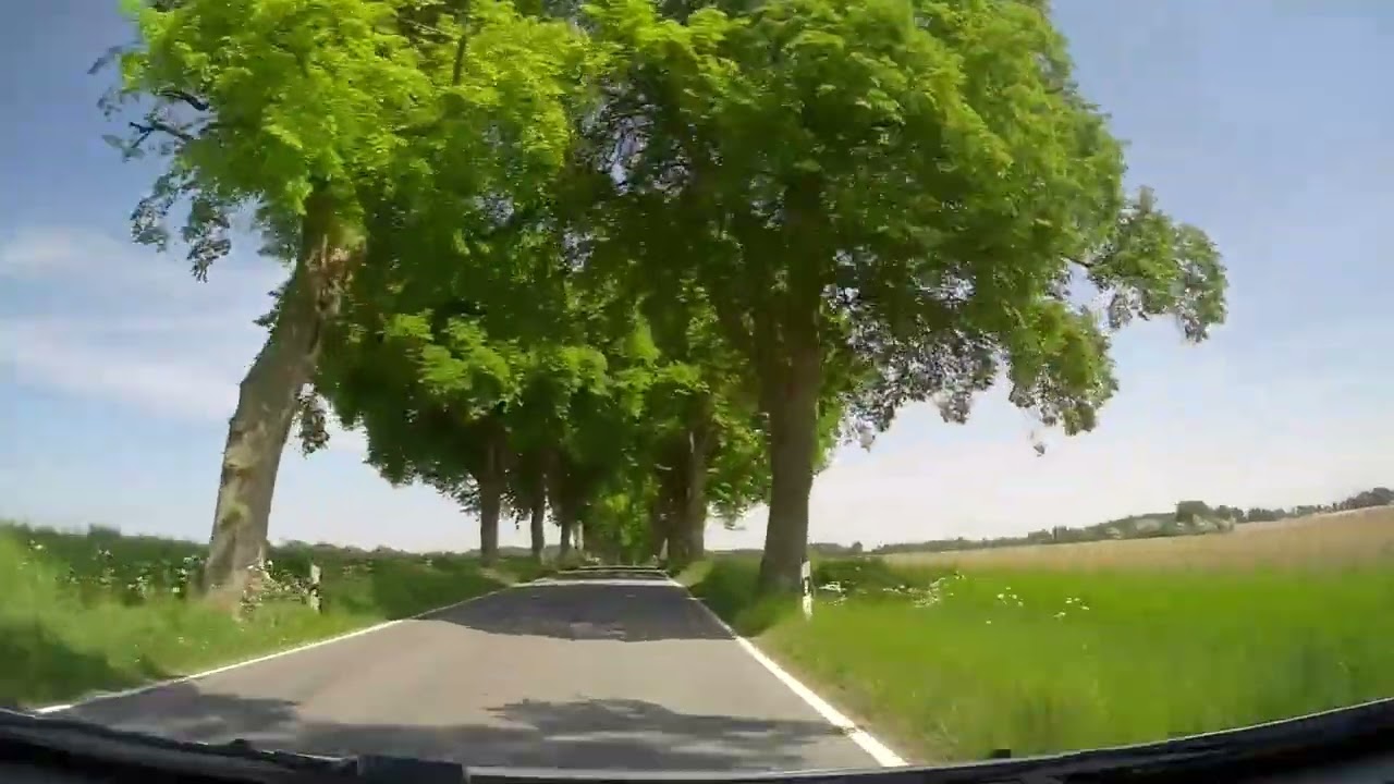 Deutsche Alleenstraße Anreise Rügen 🌳🚘🌳