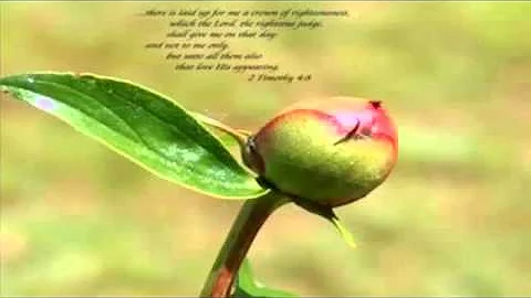 The Lord's Prayer in old English Nathanael Cook.wmv