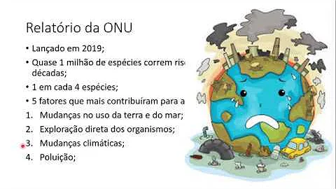 O que é biodiversidade e de que forma a sua perda pode afetar a vida na Terra?