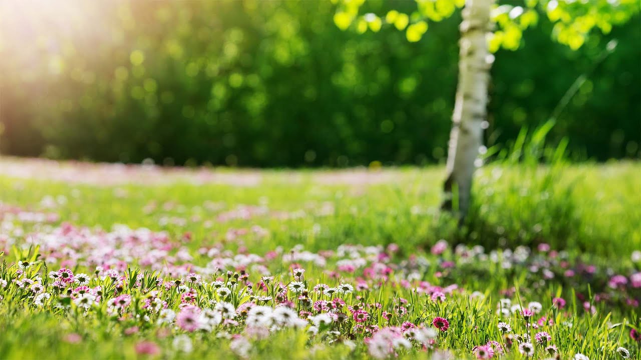 Heilige Messe aus Christkönig Bielefeld am 01.03.2026 um 10:00 Uhr