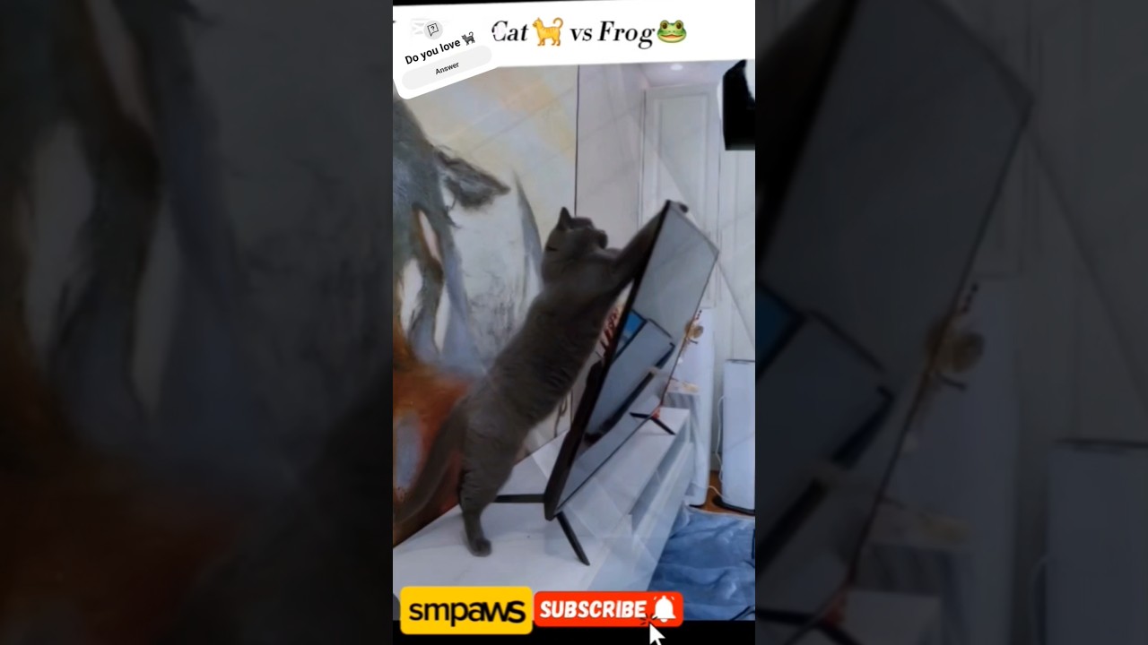 Are cats 🐈🐈‍⬛️ destructive ⁉️ trending viral shorts 