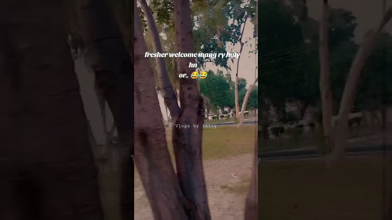 university life status 