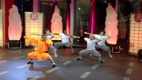 Shifu Heng Wei Ba Ji Quan