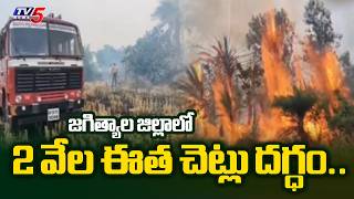 2 వేల ఈత చెట్లు దగ్ధం.. 2,000 palm trees burnt in Jagtial district || TV5 News