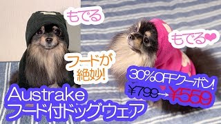 Austrakeドッグウェアのフードがピッタリだったポメラニアン犬【はなポメ#583】