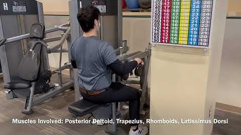 Loyola Machine Video I - Rear Deltoid Row