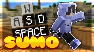 Minecraft Sumo: The Basics