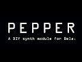 Pepper, a DIY Eurorack module for Bela
