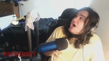 Shuba Duck Dancing While KonekoKitten Freaks Out Over A Wasp