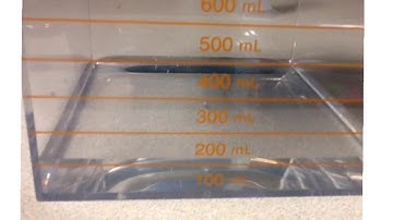 Module 5 Lesson 5 Video 2