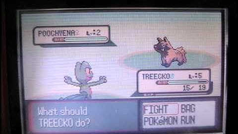 The Uncatchable Shiny Poochyena in Ruby Version