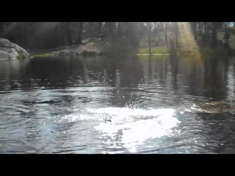 Mark And Jett Swimming At The Hideout 1