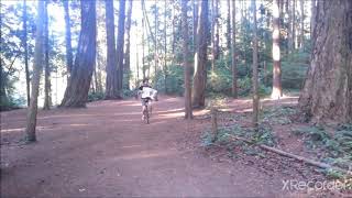 Megalovania on accordion in the woods