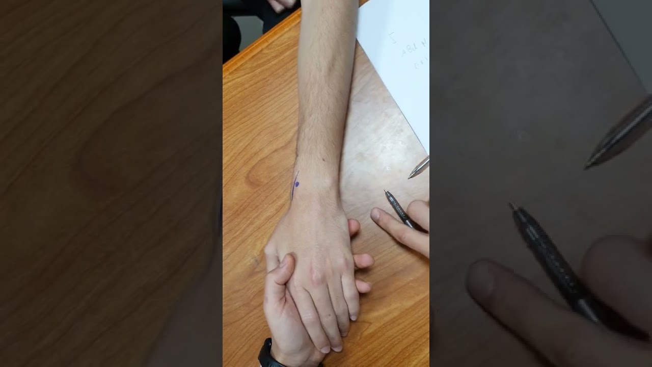 extensor compartments of wrist palpation