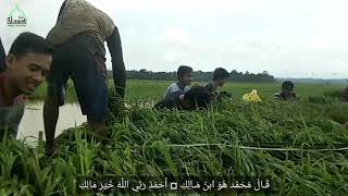 Lalaran al fiyah (santri darul futuhat)