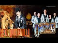 Beto Quintanilla vs  Los Originales De san juan Corridos (Dj spider pzs )
