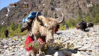 정글의법칙 20130712 #32(5)