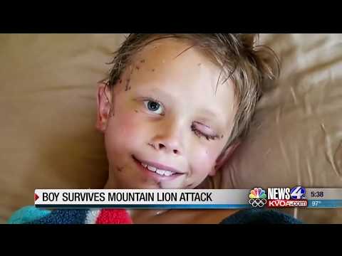 Colorado boy recovering