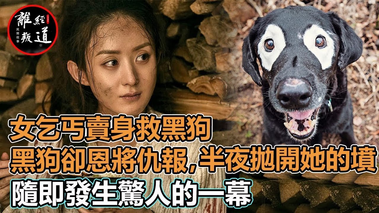 民間故事：女乞丐賣身救黑狗，黑狗卻恩將仇報，半夜拋開她的墳，隨即發生驚人的一幕！