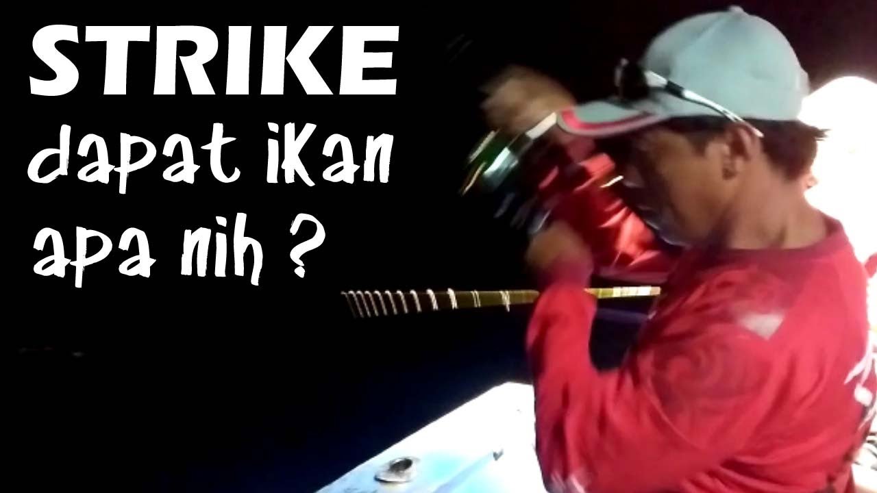 Mancing di laut lepas dapat ikan yang tidak terduga 