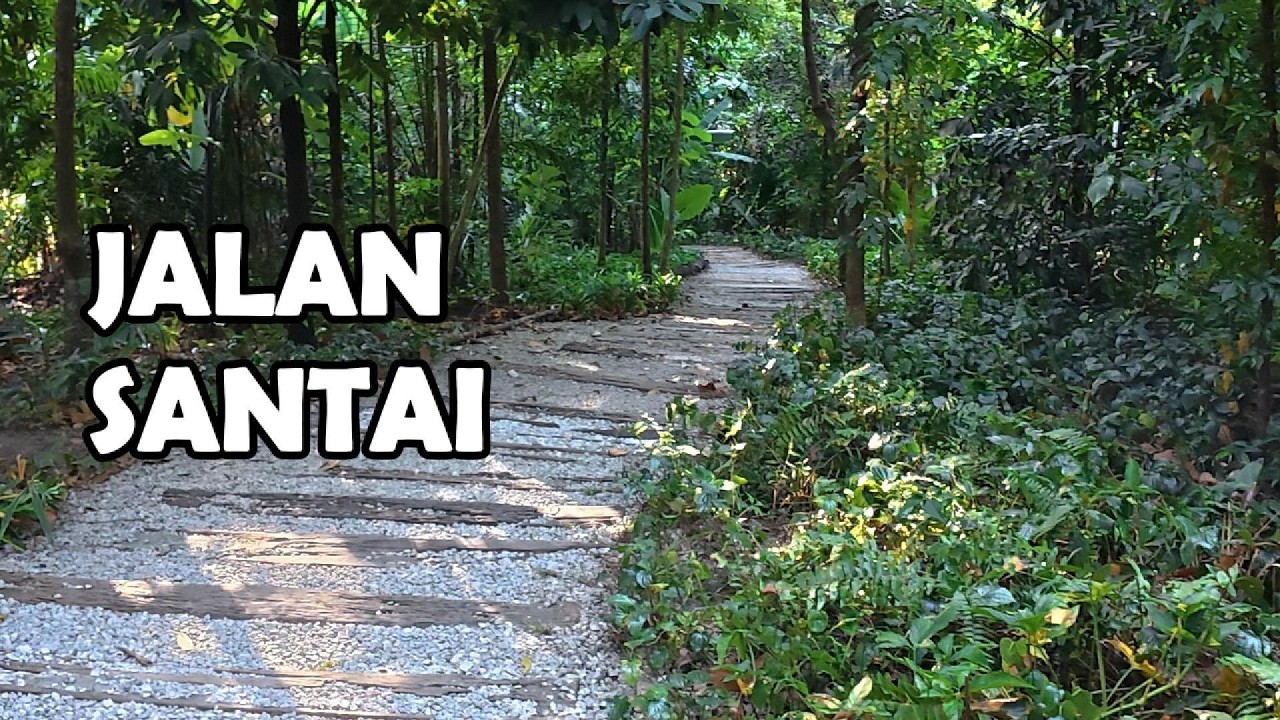 Jalan Santai di Taman Tugu - Hutan Bandar KL - Wander Trails Tours
