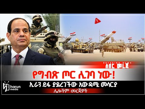 ኢራን ይፋ ያደረገችው አውዳሚ መሳርያየግብጽ ሜካናይዝድ ጦር ሊገባ ነው|Harunmedia||