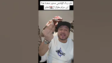 الشرعية اليمنية رداد الهاشمي خطر 
